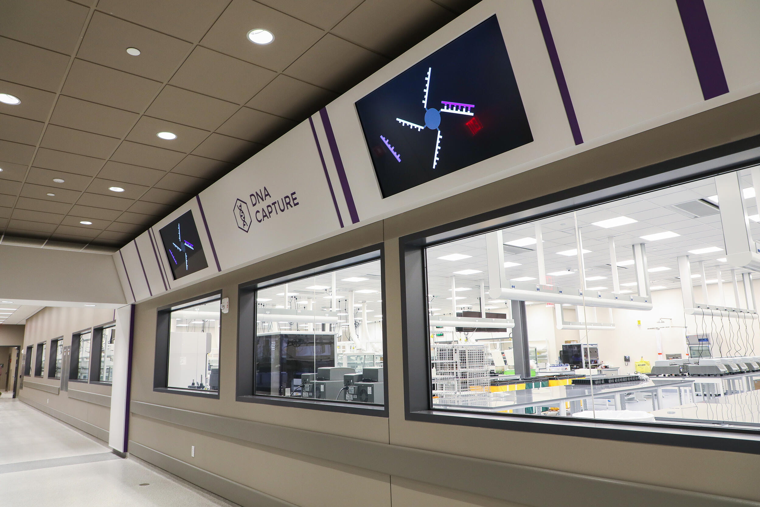 Healthy Materials: Materials were selected strategically and intentionally to minimize any chemicals that impact the air quality of the indoor environment at Exact Sciences Nexus One laboratory and warehouse. This includes paint with no or minimal volatile organic compounds (VOCs) and other materials that have documented health and environmental impacts.